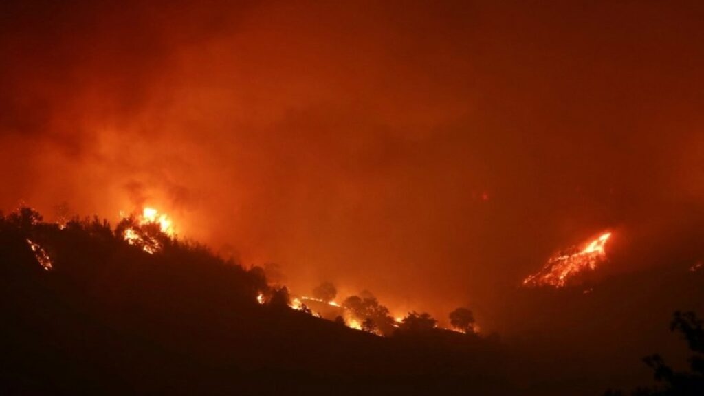 Firefighters continue efforts to contain forest blaze in Turkey's Adana