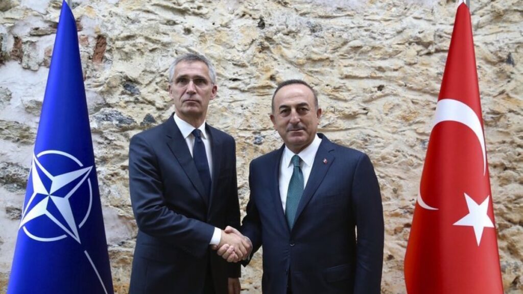 Turkish Foreign Minister disscusses E.Med with NATO chief