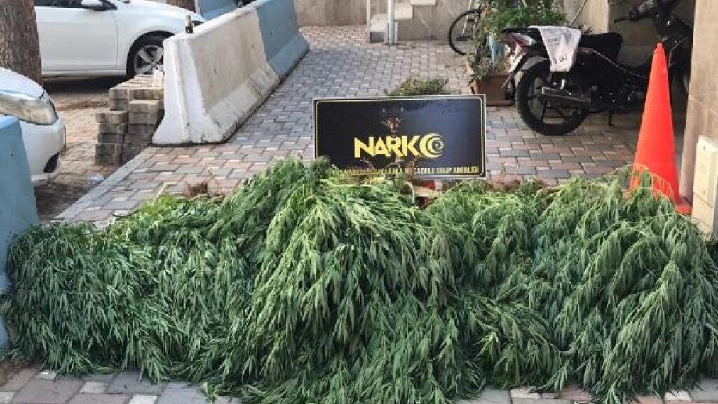 Turkish security forces seize over 2,000 kg of marijuana